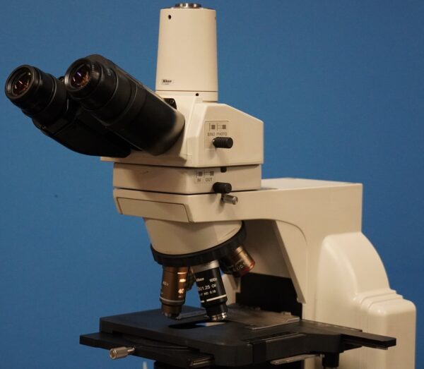 nikon eclipse e microscope