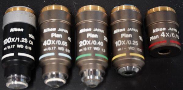 nikon eclipse e microscope